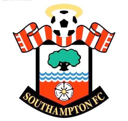 外球迷的参 外球迷的参